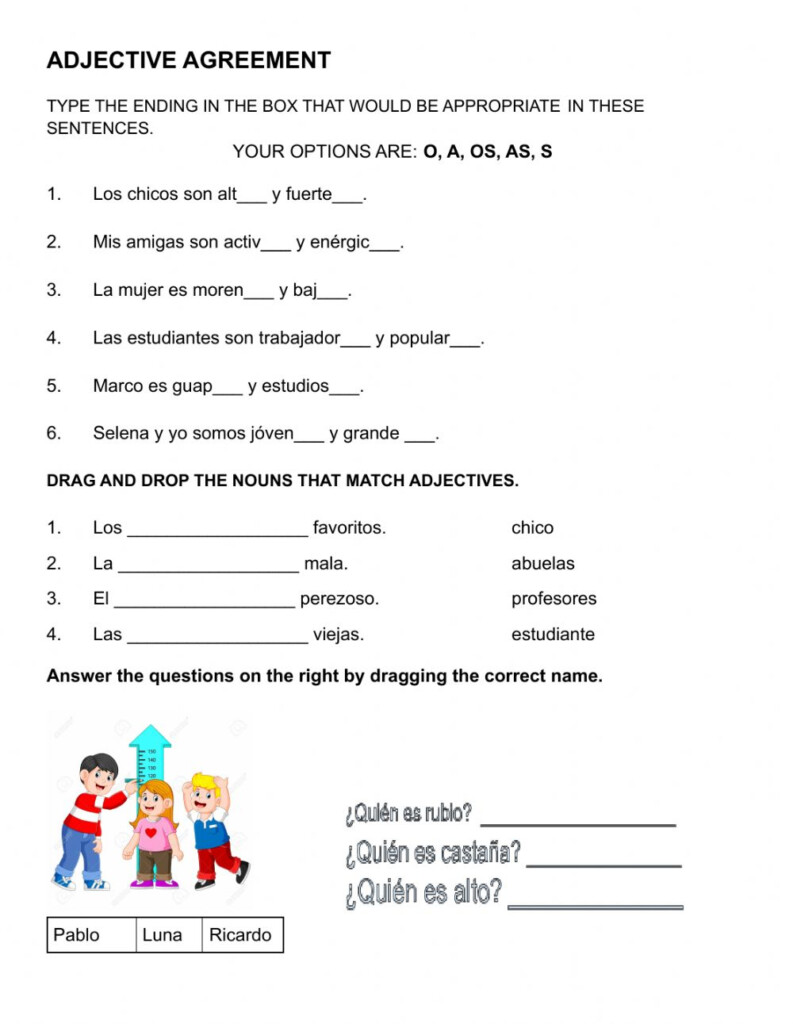 4 1 Adjective Noun Agreement Worksheet