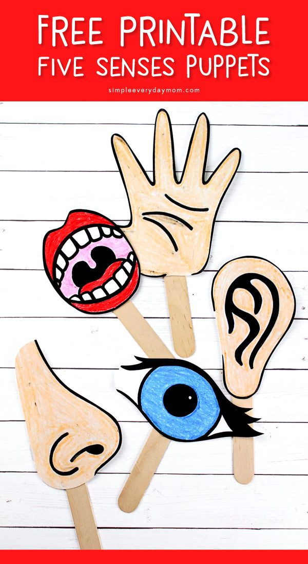 5 Senses For Kids Puppets Free Printables Senses Preschool