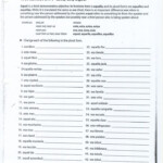 8th Grade Spanish Worksheets Spanish Worksheets Adjective Worksheet