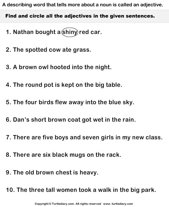 Adjective Worksheets For Grade 6 Adjective Worksheet Describing