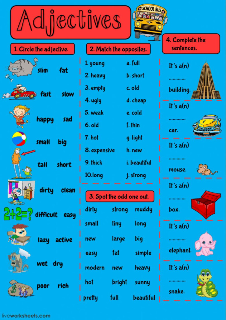Adjectives Online Exercise