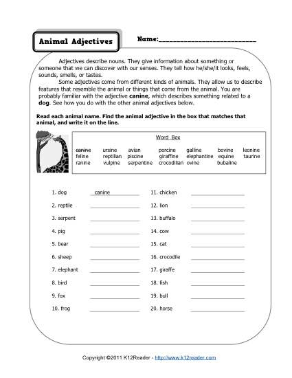Animal Adjectives 4th Grade Adjective Worksheets