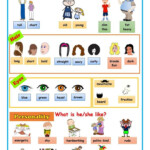 APPEARANCE PERSONALITY Worksheets For Kids Descriptive Words For