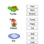 Choose The Correct Adjective Slow Fast Broken Turtle Diary Worksheet