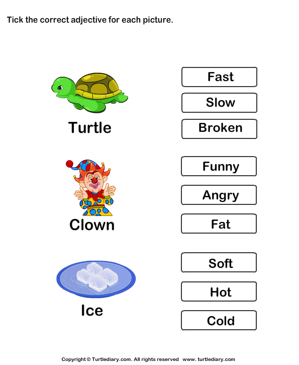 Choose The Correct Adjective Slow Fast Broken Turtle Diary Worksheet