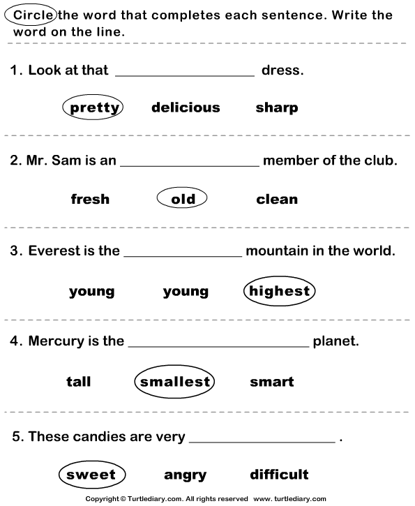 Circle The Correct Adjective Worksheet Turtle Diary