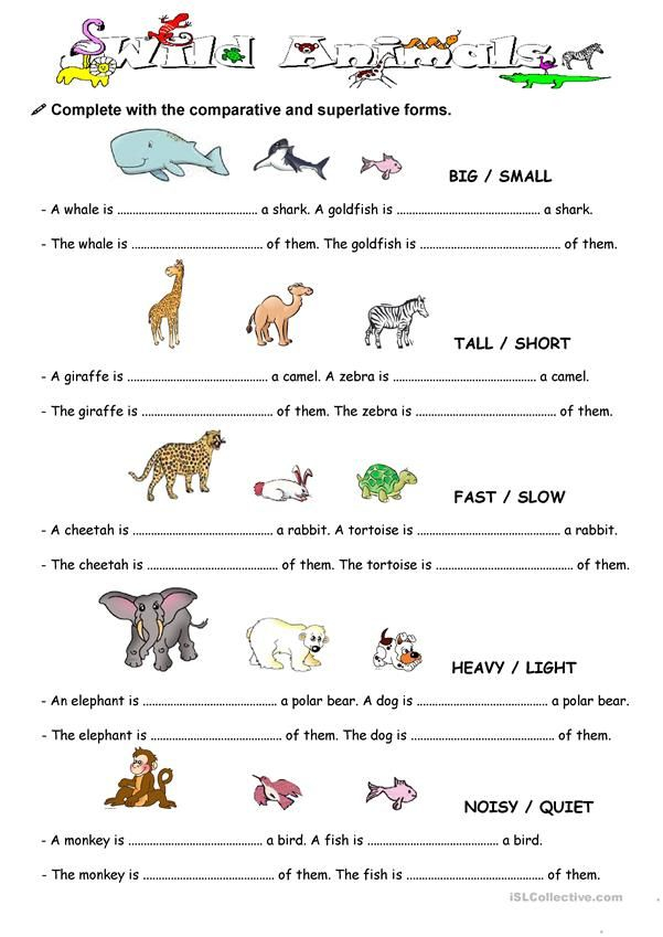 comparison-with-animal-english-esl-worksheets-learning-english-for-adjectiveworksheets