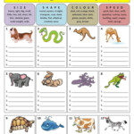 Describing Animals adjectives English Lessons For Kids Teaching