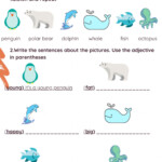 Describing Aquatic Animals Worksheet