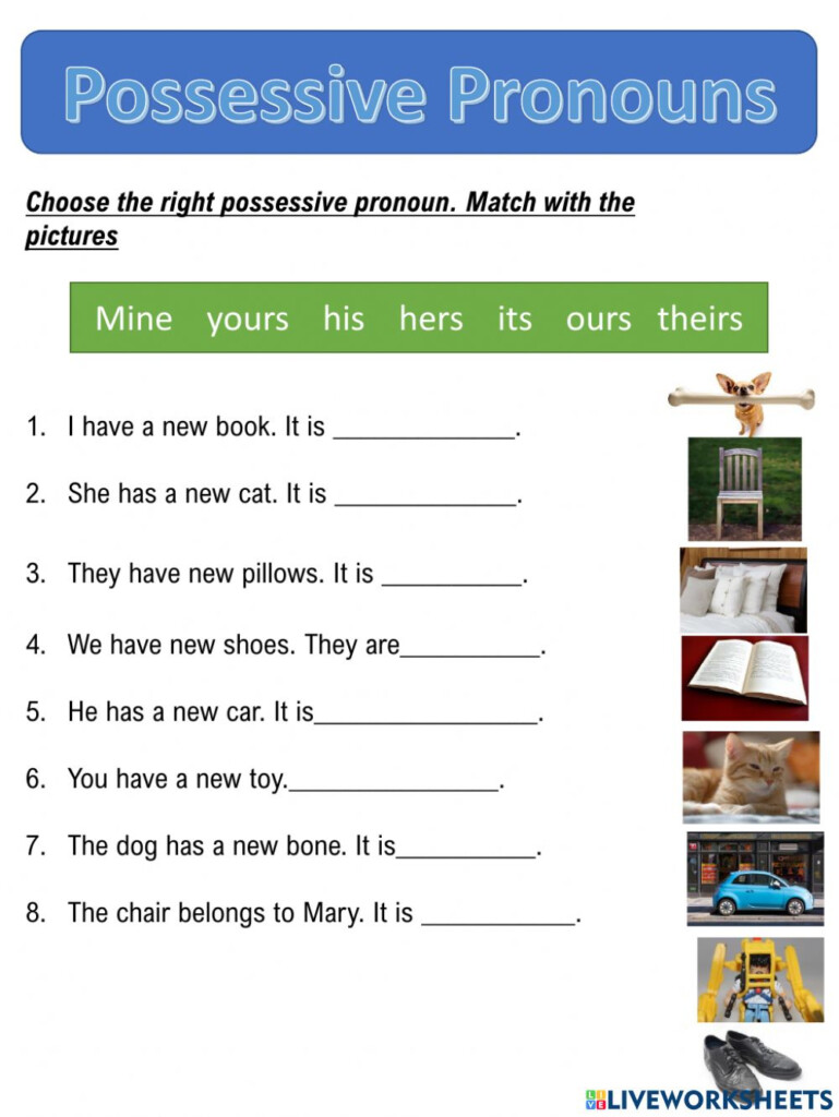 Ejercicio Online De Possessive Pronouns Para Grade 2