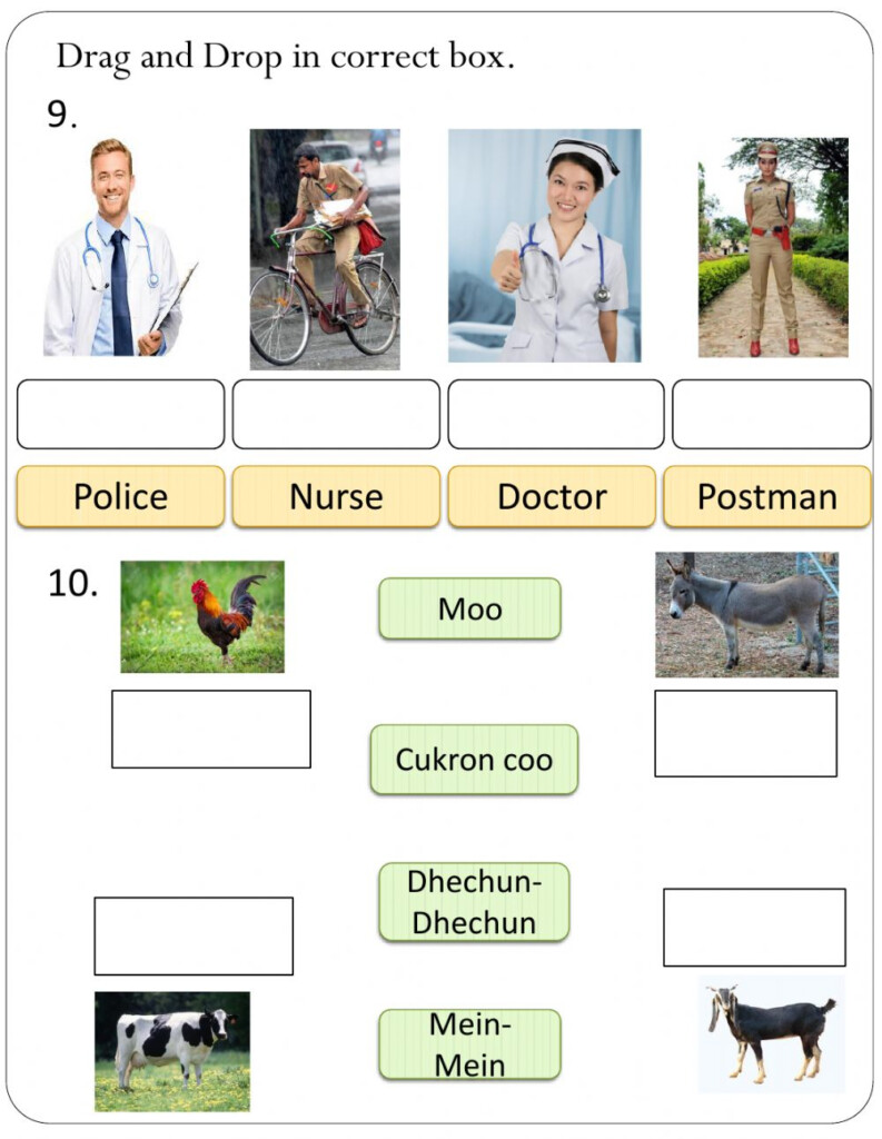 EVS 3rd Class Worksheet