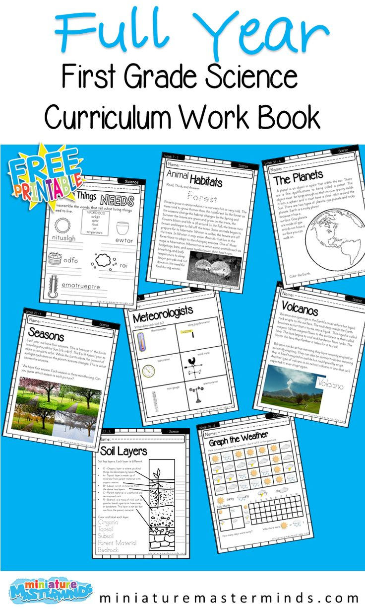 First Grade Science Full Year Curriculum First Grade Science First