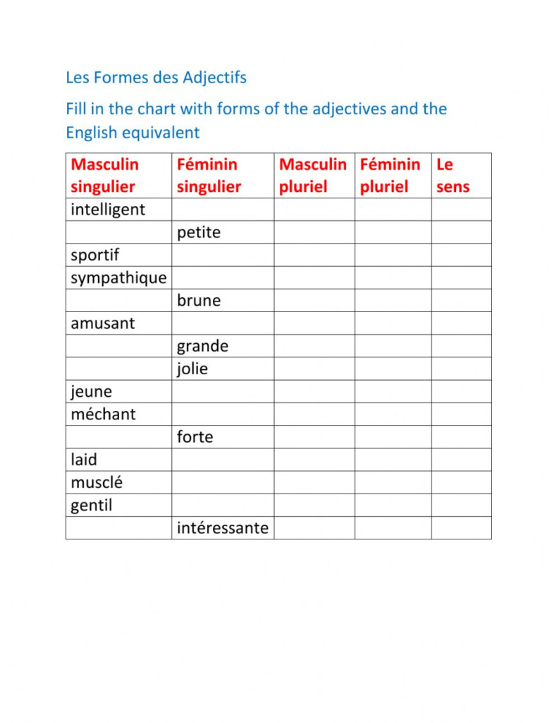 French Bags Adjectives Worksheet