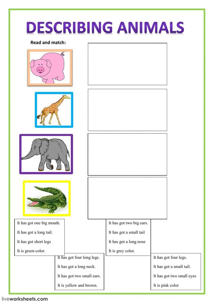 Have Got Has Got Interactive And Downloadable Worksheet You Can Do