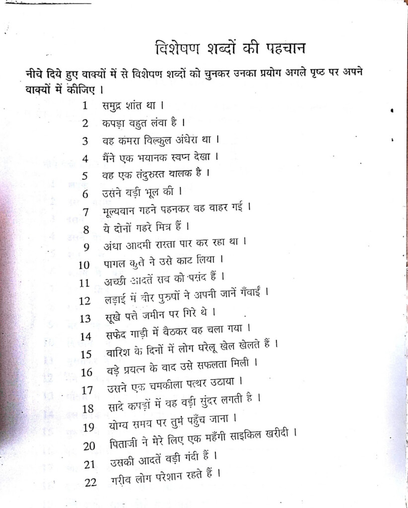 Hindi Grammar Work Sheet Collection For Classes 5 6 7 8 Adjectives 