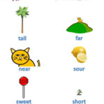 Image Result For Teaching Opposites Using Pictures At Grade 1