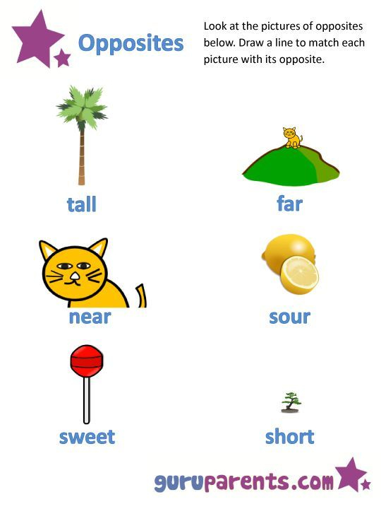 Image Result For Teaching Opposites Using Pictures At Grade 1 