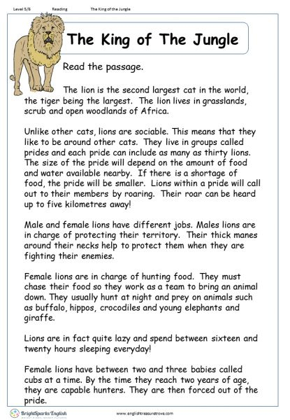 Introductions English Reading Comprehension Worksheet English
