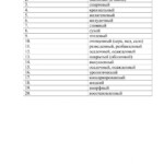 Latin adjectives Worksheet