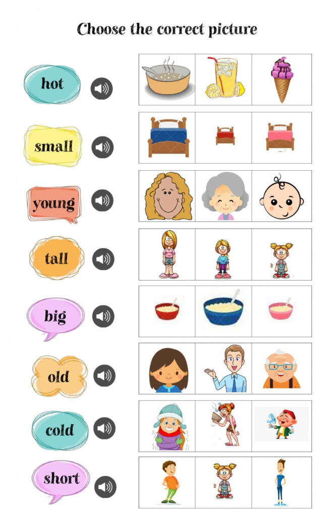 Opposite Adjectives Free Activity