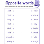 Opposite Words Interactive Worksheet For Ensino Fundamenatl