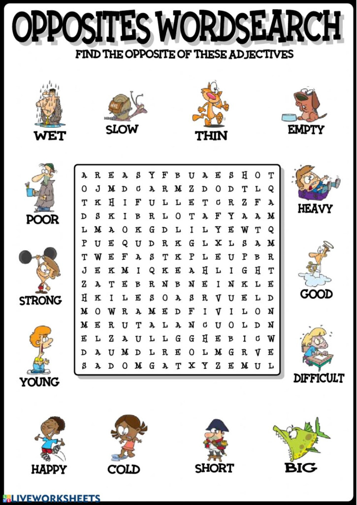 Opposites Word Search Worksheet