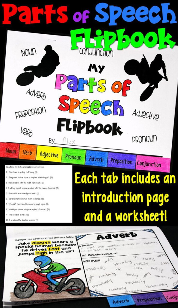 Parts Of Speech Flipbook With Worksheets PDF And Digital Parts Of 