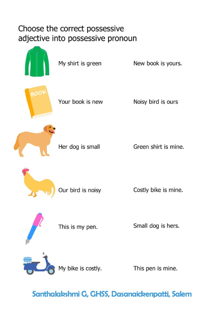 Possesive Pronoun Worksheet