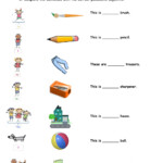 Possessive Adjectives 4th Worksheet