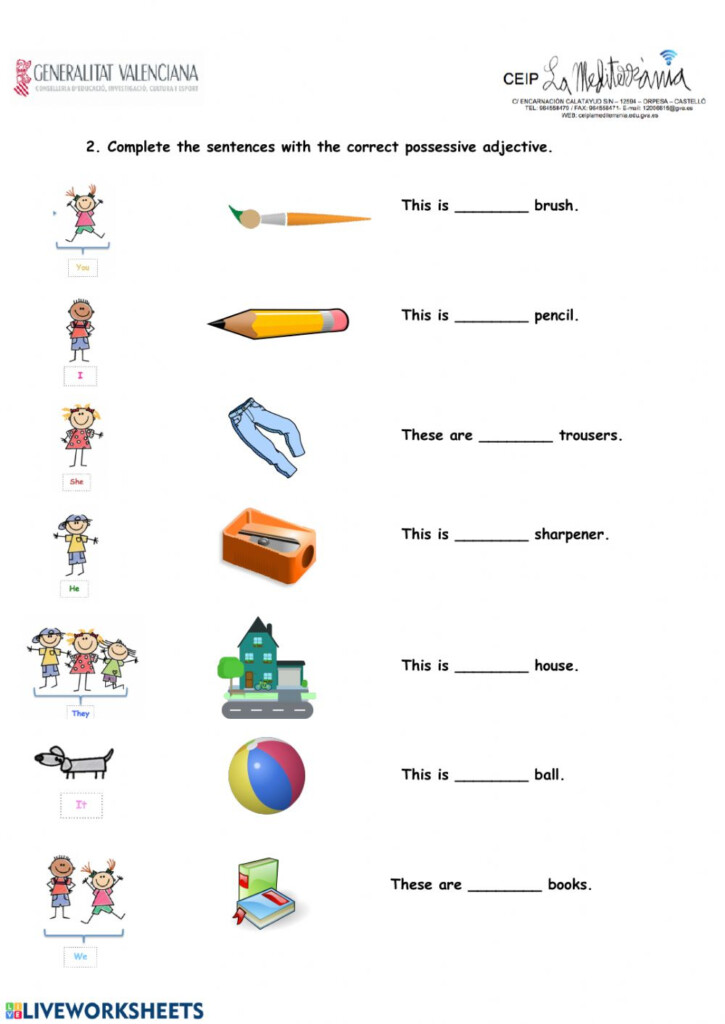 Possessive Adjectives 4th Worksheet