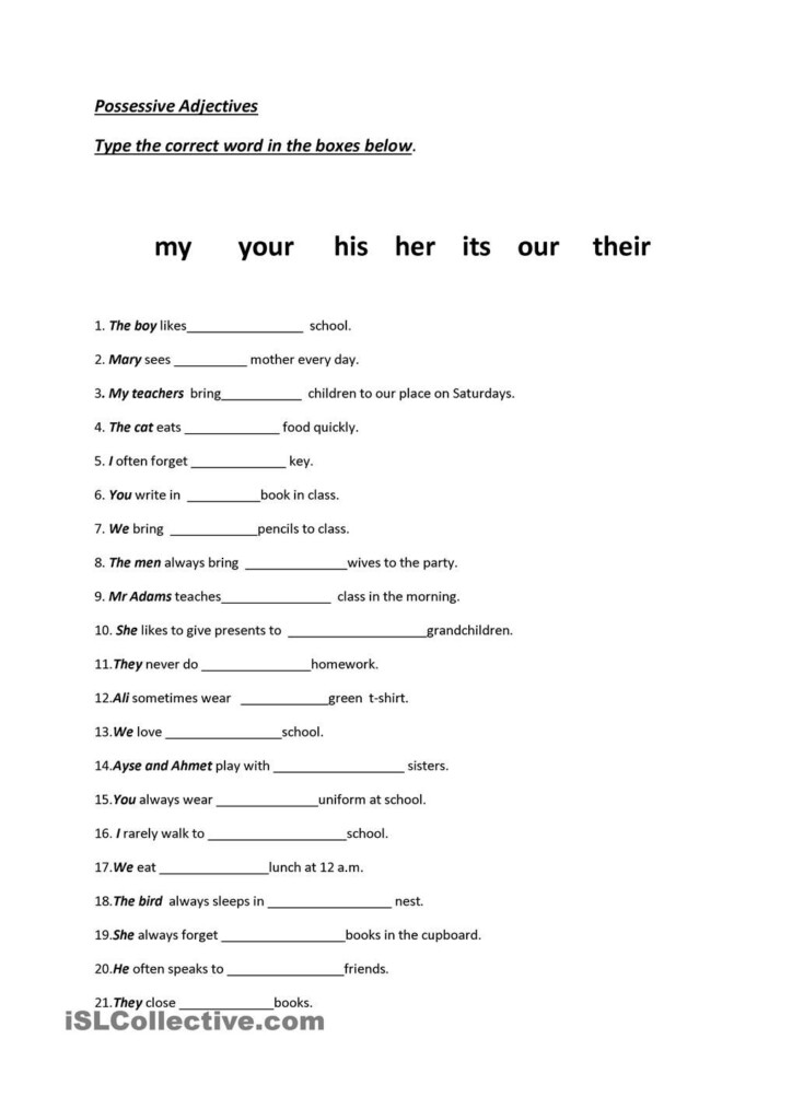 Possessive Adjectives In Spanish Worksheet