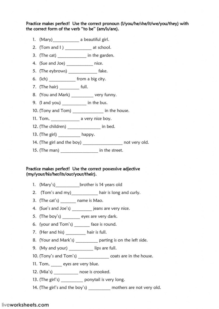 Possessive Adjectives Spanish Worksheet Education Template