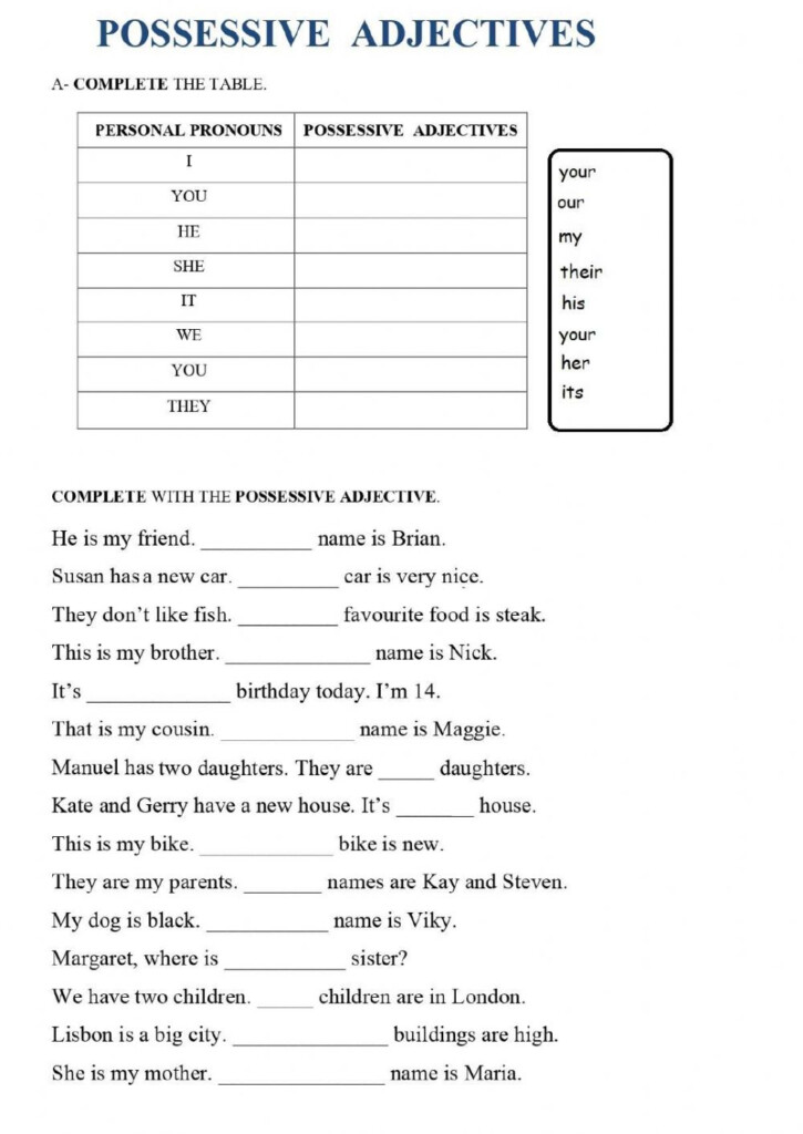 Possessive Adjectives Worksheet For A1