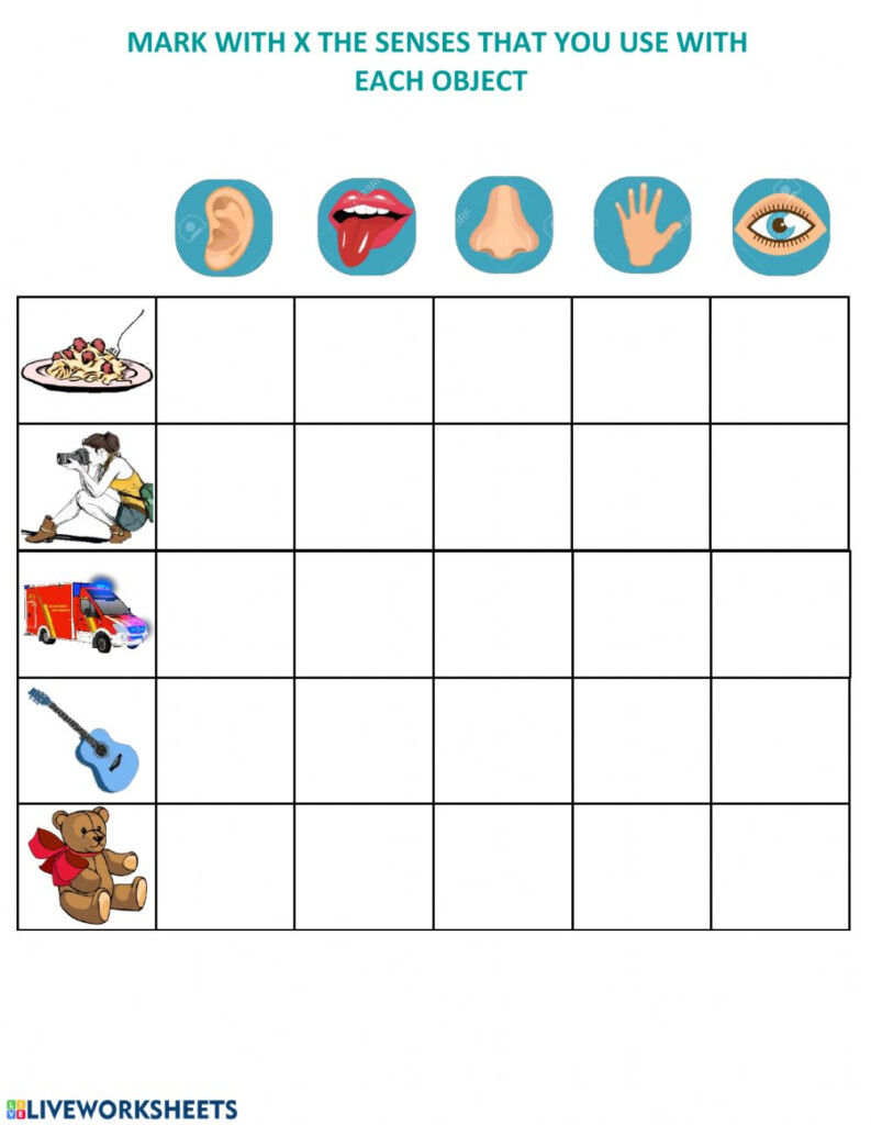 Pract 3 Five Senses Worksheet