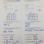 Punnett Square Worksheet 1 Answer Key Db excel