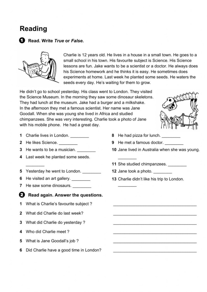6th-grade-adjectives-abeka-printable-worksheets-adjectiveworksheets