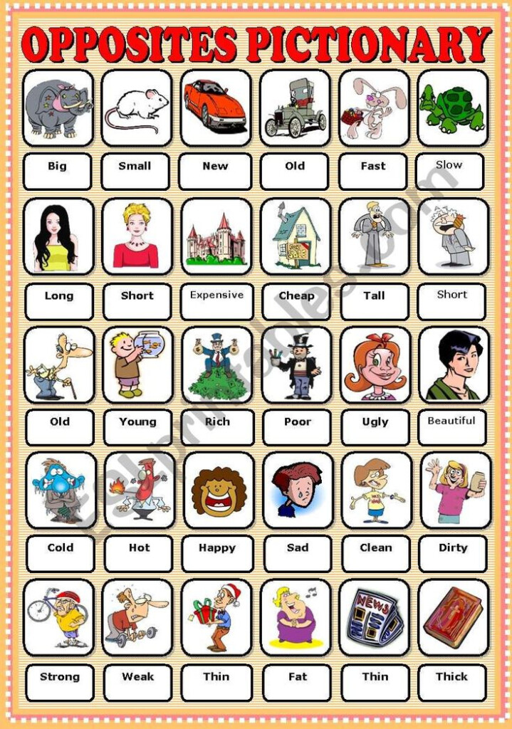 The Opposites About Adjective Words Pictionary Hope It Useful The 