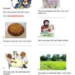 Too Adjective Infinitive Worksheet