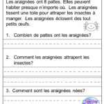Use These French Reading Passages With Beginners To Develop Basic