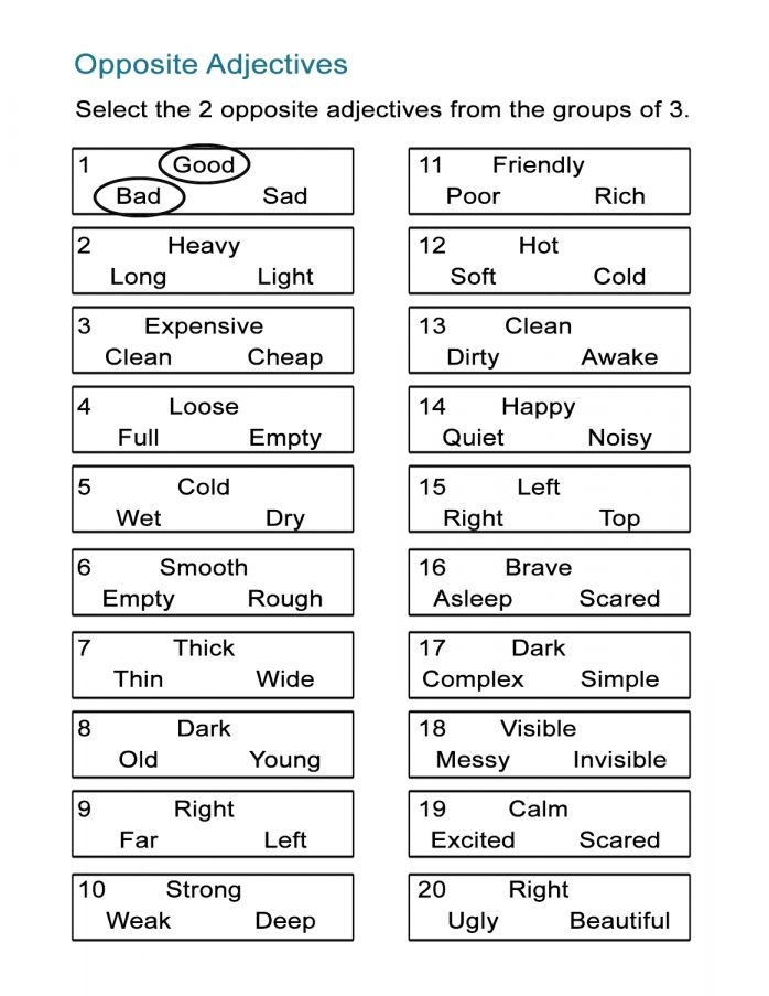 Worksheet On Opposites For Preschool And Opposites For Kids Find The