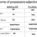 10 Worksheet Spanish Adjetivos Posesivos Worksheeto
