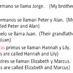 12 Spanish Possessive Adjectives Worksheet Worksheeto