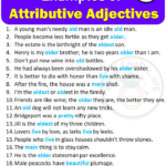 20 Examples Of Attributive Adjectives In Sentences EngDic