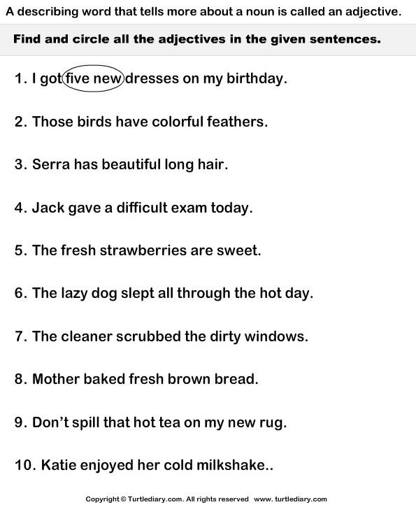 Circle All Adjectives In Each Sentence Worksheet Turtle Diary