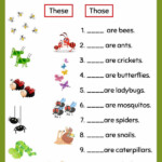 Demonstrative Adjectives And Pronouns Demonstratives Worksheets 4