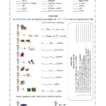 Demonstrative Adjectives Spanish Worksheet