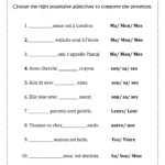 French Possessive Adjectives Les Adjectifs Possessifs Made By Teachers
