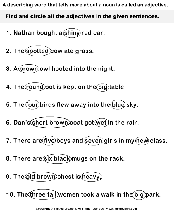 Identify And Circle Adjectives In Each Sentence Worksheet Turtle Diary