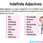 Indefinite Adjectives Definition And Examples Grammar Simple