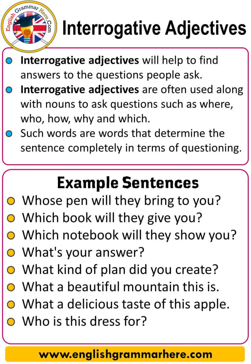 Interrogative Adjectives Worksheets With Answers Kidsworksheetfun